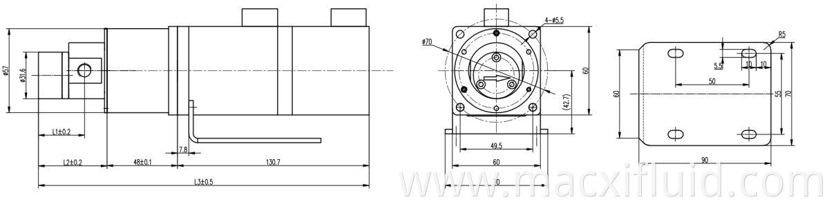 Tiene Tel Loy Anticorrosion 220V Servo Motor Micro Micro Drive Dosis Bomba de engranaje M0.90H57SM400W